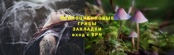 a pvp Алексин