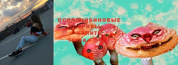a pvp Алексин