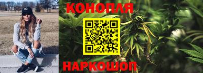 стаф Заволжье