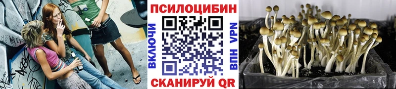 Галлюциногенные грибы Cubensis  дарнет шоп  Люберцы 