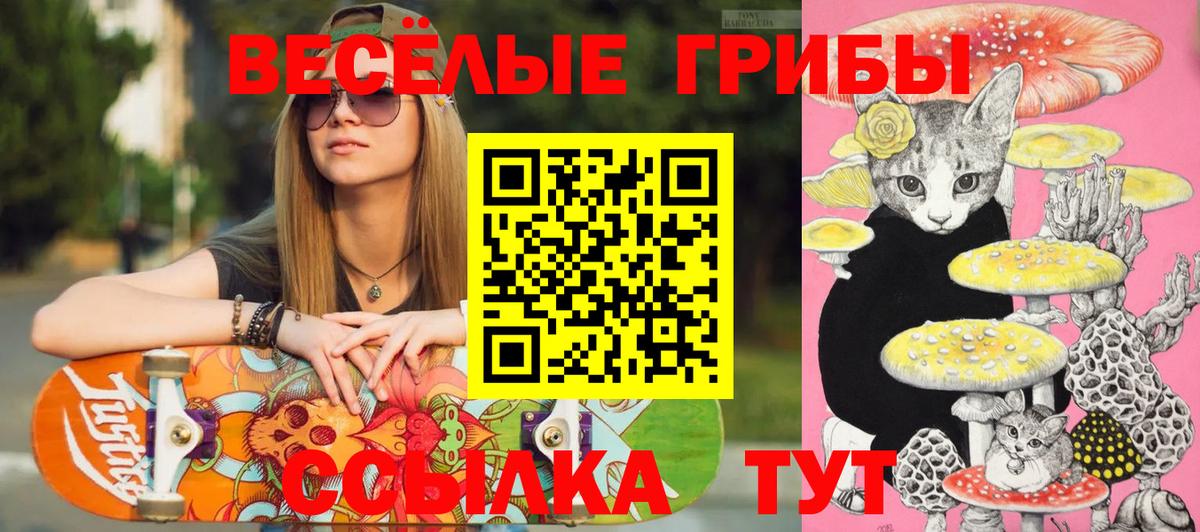 Люберцы  Псилоцибиновые грибы MAGIC MUSHROOMS  Вход с VPN 